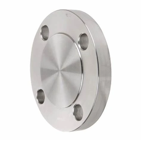 Stainless Steel Blind Flange